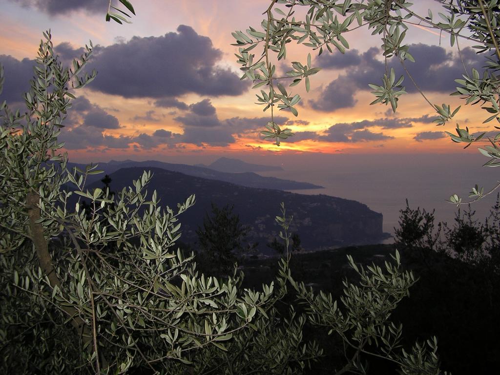 Agriturismo Castanito Villa Vico Equense Eksteriør bilde